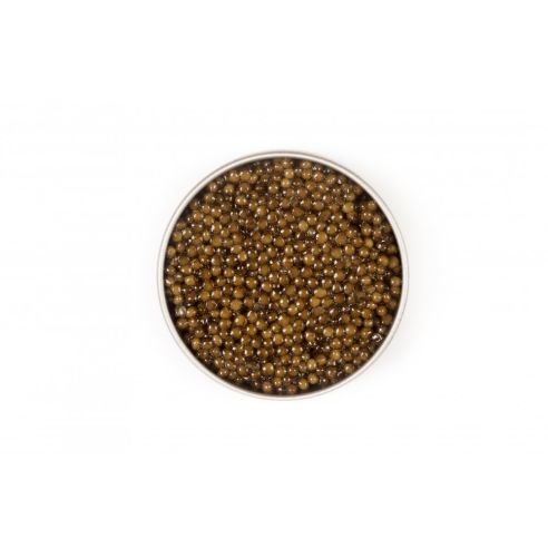Caspian Caviar Finest Caviar Störroggen 50 g