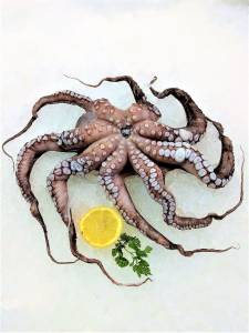 Mare Atlantico  Pulpo (Octopus) frisch ca. 1000 g